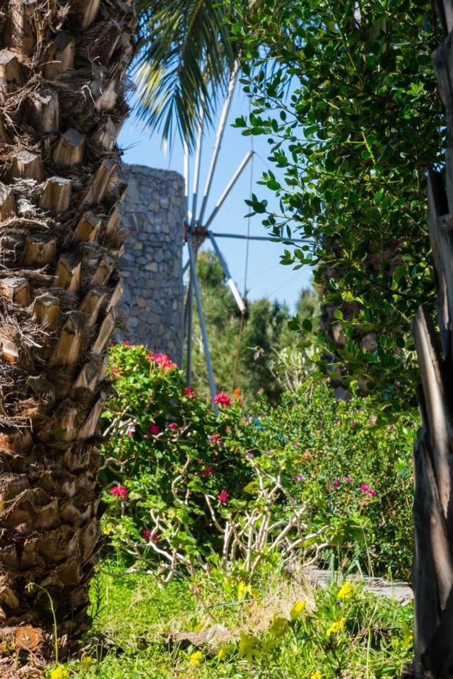 فيلا Authentic Cretan Stone Windmill سيتيا المظهر الخارجي الصورة